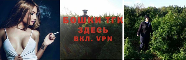 дмт Абаза