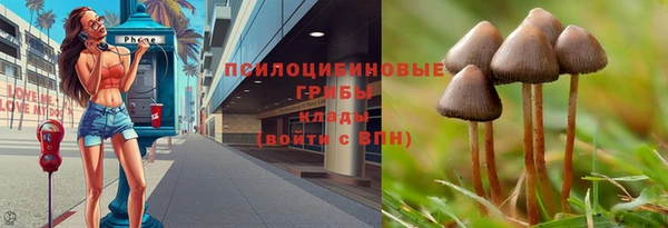 дмт Абаза