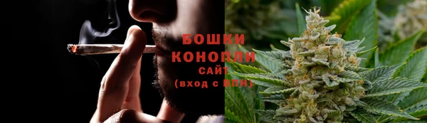 ГАЛЛЮЦИНОГЕННЫЕ ГРИБЫ Алзамай