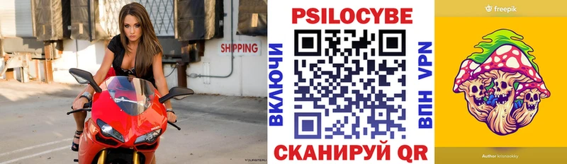где купить   Абакан  Псилоцибиновые грибы прущие грибы 