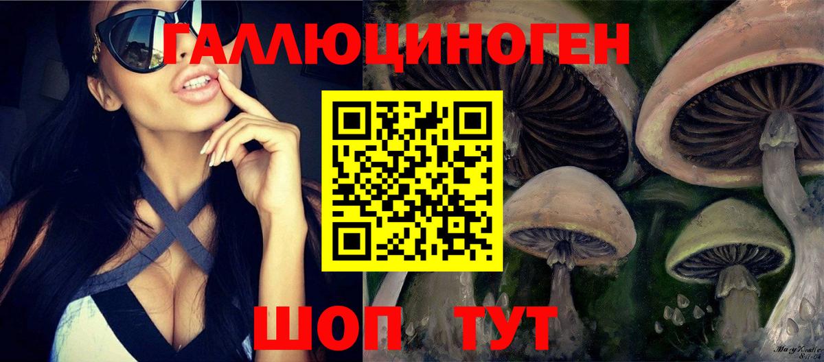 Абакан  Псилоцибиновые грибы ЛСД  Вход с VPN 